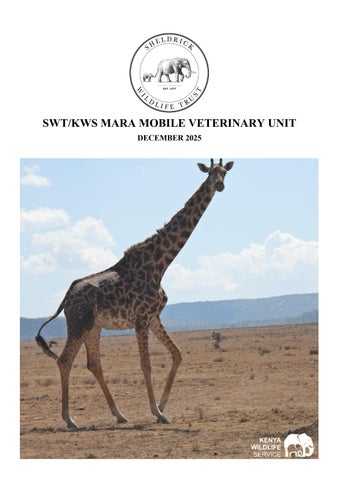 SWT/KWS Mara Veterinary Unit Report for December 2025