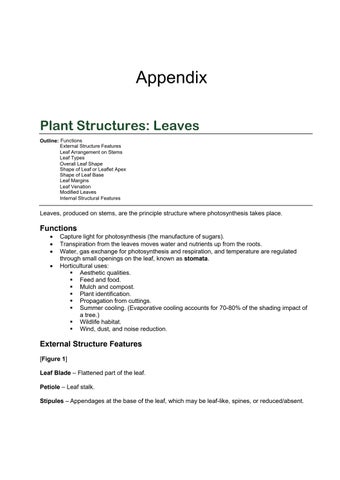 Appendix