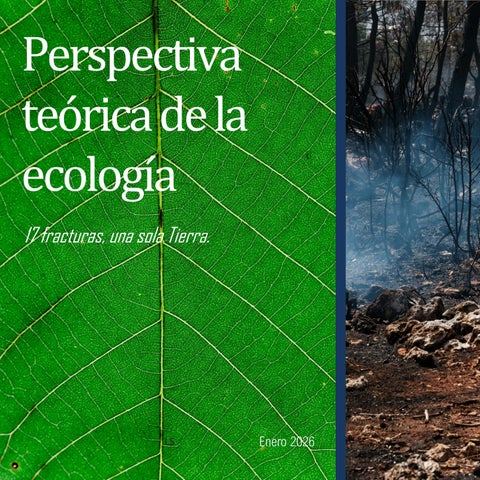 act 1 charli borrero 27645036 eco