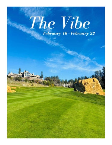 THE VIBE 2.16.26