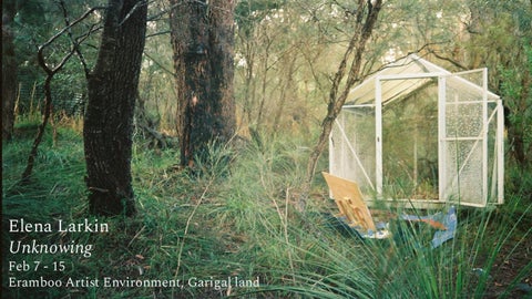 Unknowing Catalogue Feb 26--