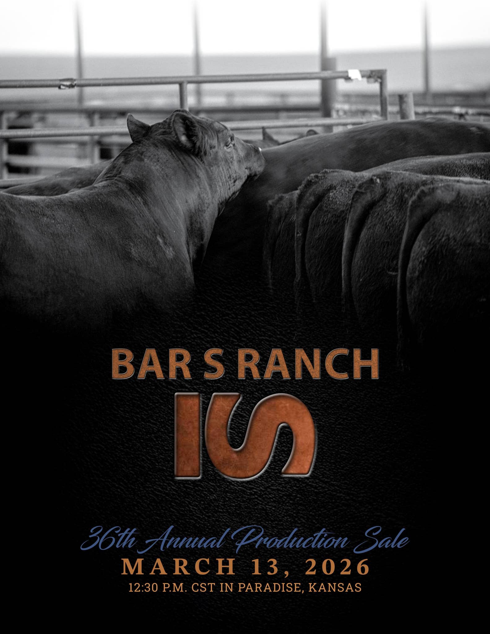 2026 Bar S Ranch Catalog by Megan Favorite - Issuu