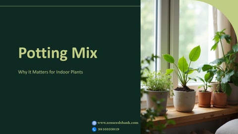 Why Potting Mix Matters for Indoor Plant Health