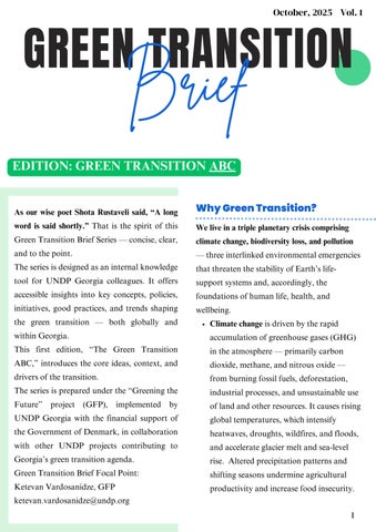Green Transition Brief 1 - Introduction