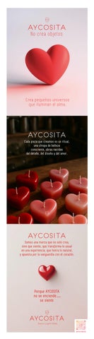 PORTAFOLIO AYCOSITA 2026 