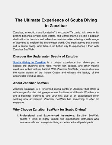 Experience of Scuba Diving in Zanzibar