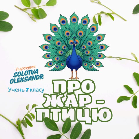 Солотва - Teal and Black Minimalist Bookstore Logo