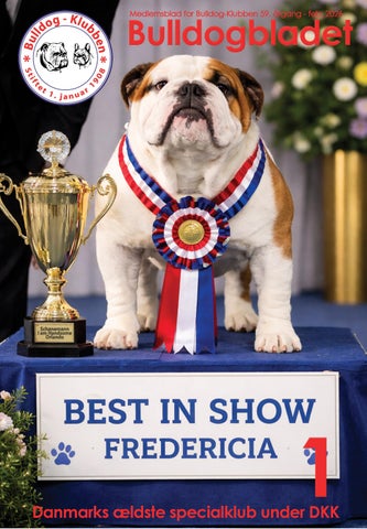 Bulldog Bladet 1 - 2026