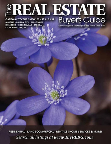 The Real Estate Buyer's Guide #439- Gateway to the Smokies, NC