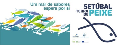 Banner Setúbal Terra de Peixe 2015