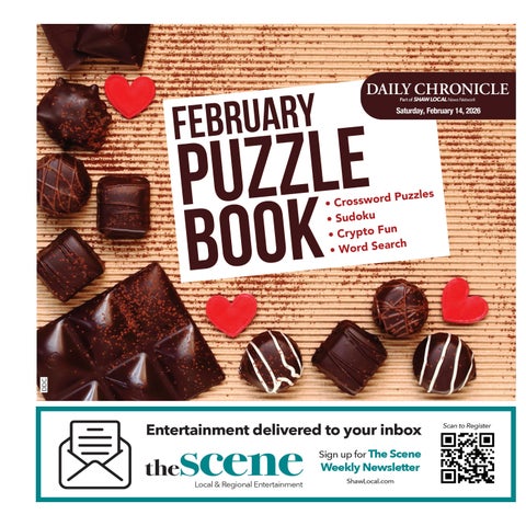 DDC_Puzzle Book_021426