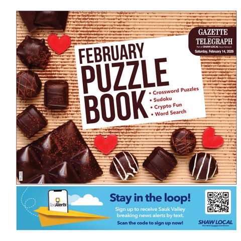 SVM_Puzzle Book_021426