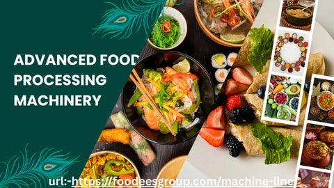  Advanced Food Processing Machinery & packaging 