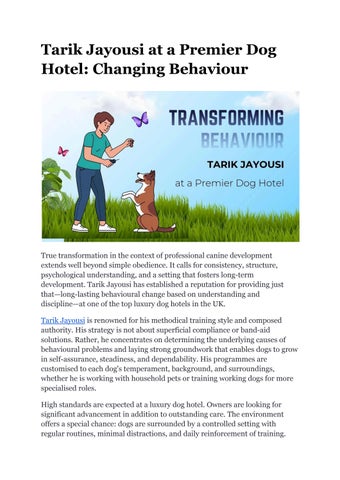 Tarik Jayousi at a Premier Dog Hotel_ Changing Behaviour