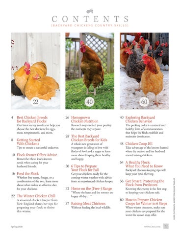 12792_GuideToBackyardChickens15thEd