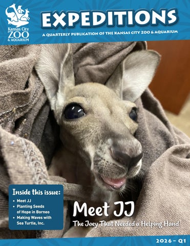 Expeditions - 2026 - Q1