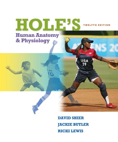 Hole's human anatomy & physiology 12th edition David Shier; Jackie Butler; Ricki Lewis solution