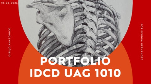 PORTAFOLIO ANATOMICO
