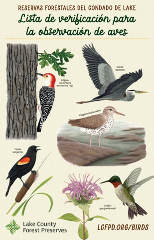 Lista de verificación para la observación de aves