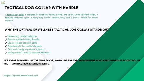 OPTIMAL K9 WELLNESS Tactical Dog Collar Guide