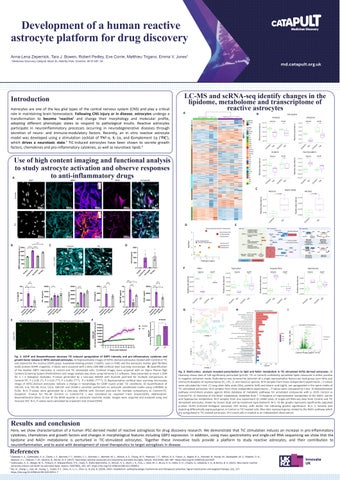 ARUK 2026 Development of a human reactive astrocyte platform for drug discovery