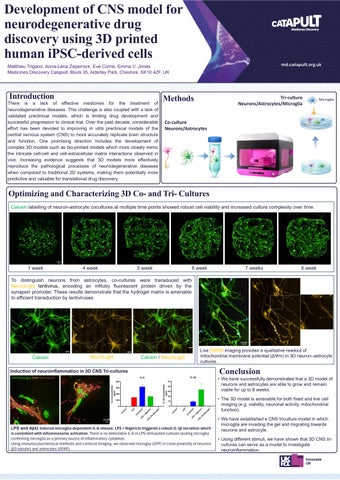 ARUK 2026 Development of CNS model for neurodegenerative drug discovery using 3D printed human iPSC-