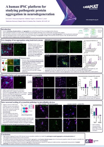ARUK 2026 A human iPSC platform for studying pathogenic protein aggregation in neurodegeneration