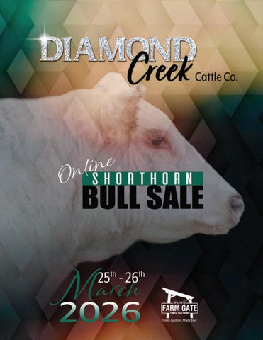 Diamond Creek Cattle Co. Shorthorn Bull Sale 2026 - DLMS Farm Gate Timed Auction