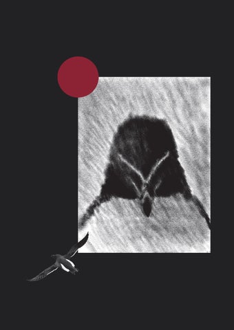 Razorbill - Graphic Book Composition