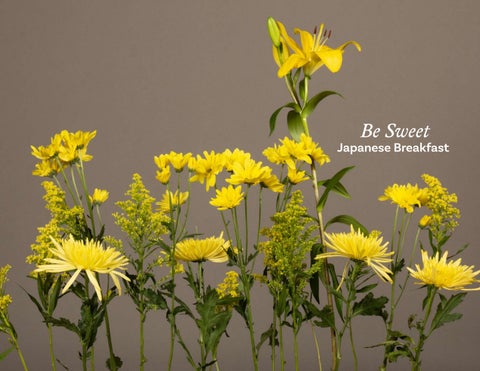 lyricbooks_compressed