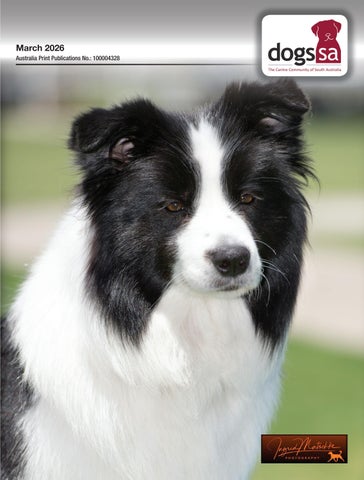 Dogs SA March 2026 