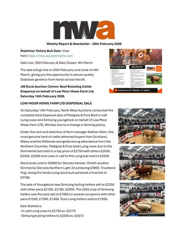 NWA Newsletter 200226