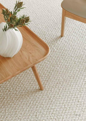 VM Carpet 2026 第 13 页