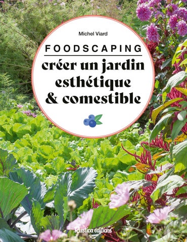 Foodscaping : créer un jardin esthétique et comestible