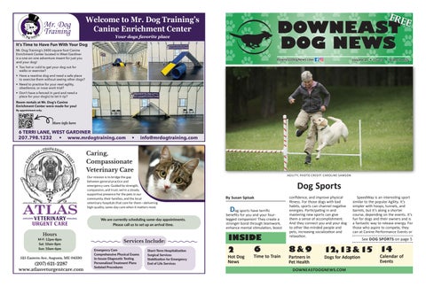 DowneastDog_March 2026