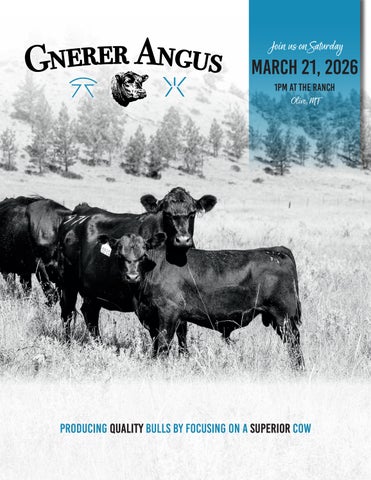 Gnerer Angus Spring Bull Sale