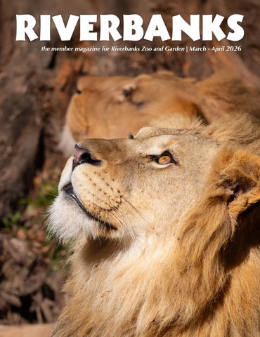 Riverbanks Member Magazine | March-April 2026