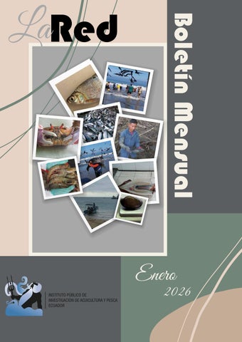 Boletín LA RED - ENERO 2026