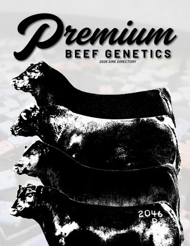 2026 Premium Beef Genetic's Sire Directory