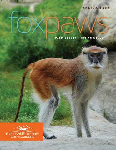 Spring 2026 FoxPaws Magazine 