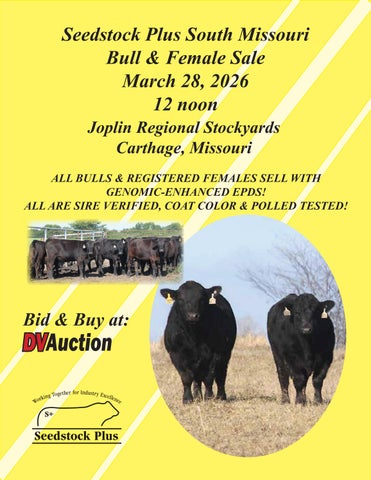 Seedstock Plus South Missouri Bull & Female Sale