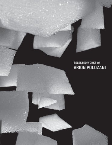 Arion Polozani's Portfolio