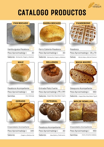 CATALOGO PORTAFOLIO PANDEVEREDA