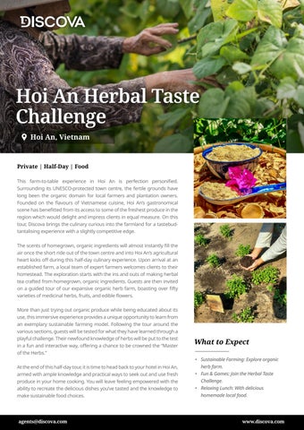 Discova Vietnam - Signature Experiences - Hoi An - Hoi An Herbal Taste Challenge