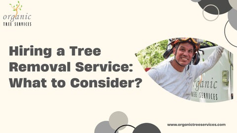 Hiring a Tree Removal Service: What to Consider?