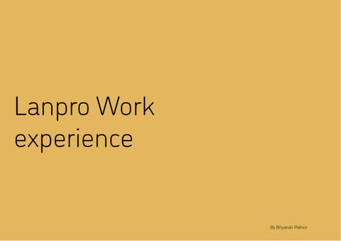 Work experience by Briyanah Patrice