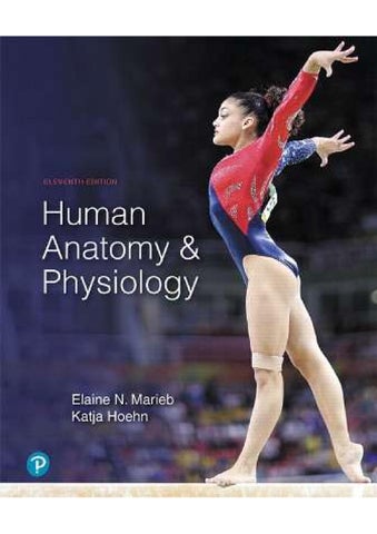 TEST BANK for Human Anatomy & Physiology 11th Edition by Elaine Marieb & Katja Hoehn