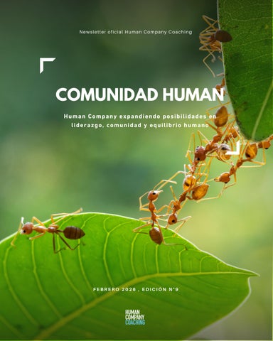 Newsletter N° 9- Comunidad Human