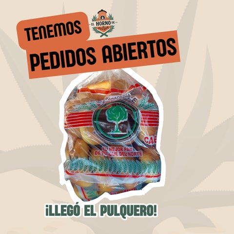 El horno de pulque (2)