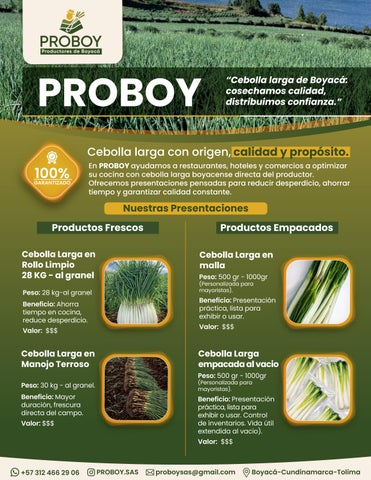 PORTAFOLIO DE PRODUCTOS